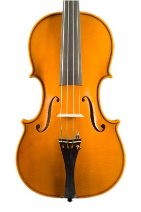 Violini - image