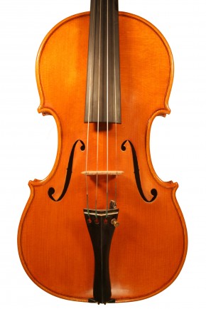 Violini - image